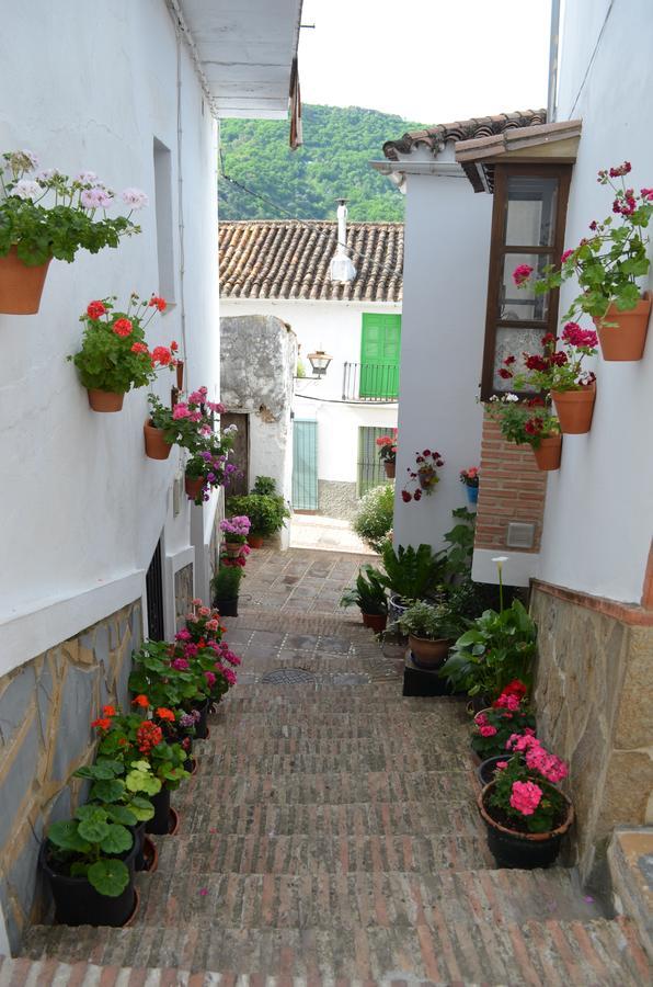 Casa La Puente Villa Jubrique Dış mekan fotoğraf