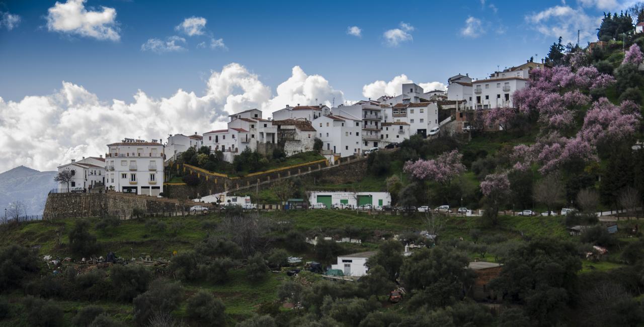 Casa La Puente Villa Jubrique Dış mekan fotoğraf